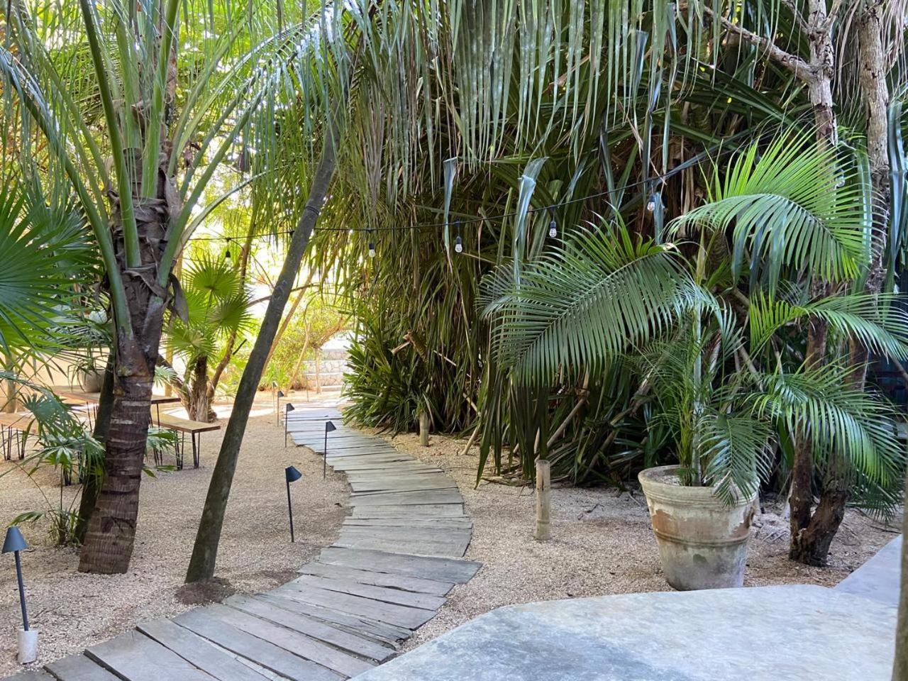 Amor Rooms Tulum Exterior photo