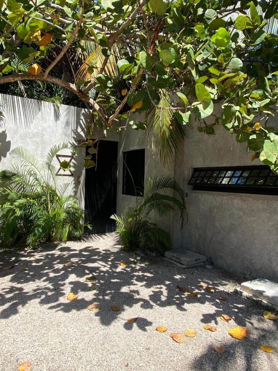 Amor Rooms Tulum Exterior photo
